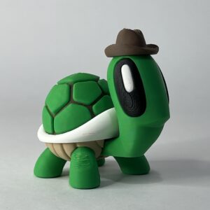 Mr. Turtle